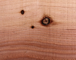 Houtindustrie Gramsbergen B.V. - specialist op het gebied van houtbewerknig, houtdrogen, en bouw